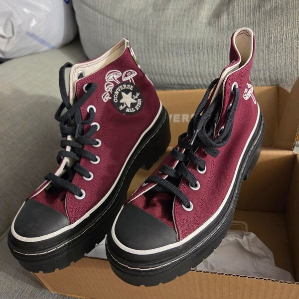 Converse Chuck Taylor All Star Hike Platform Bordeaux Mushroom