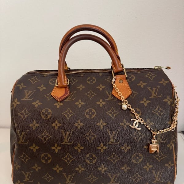 Louis Vuitton Monogram Speedy 30 Handbag Brown