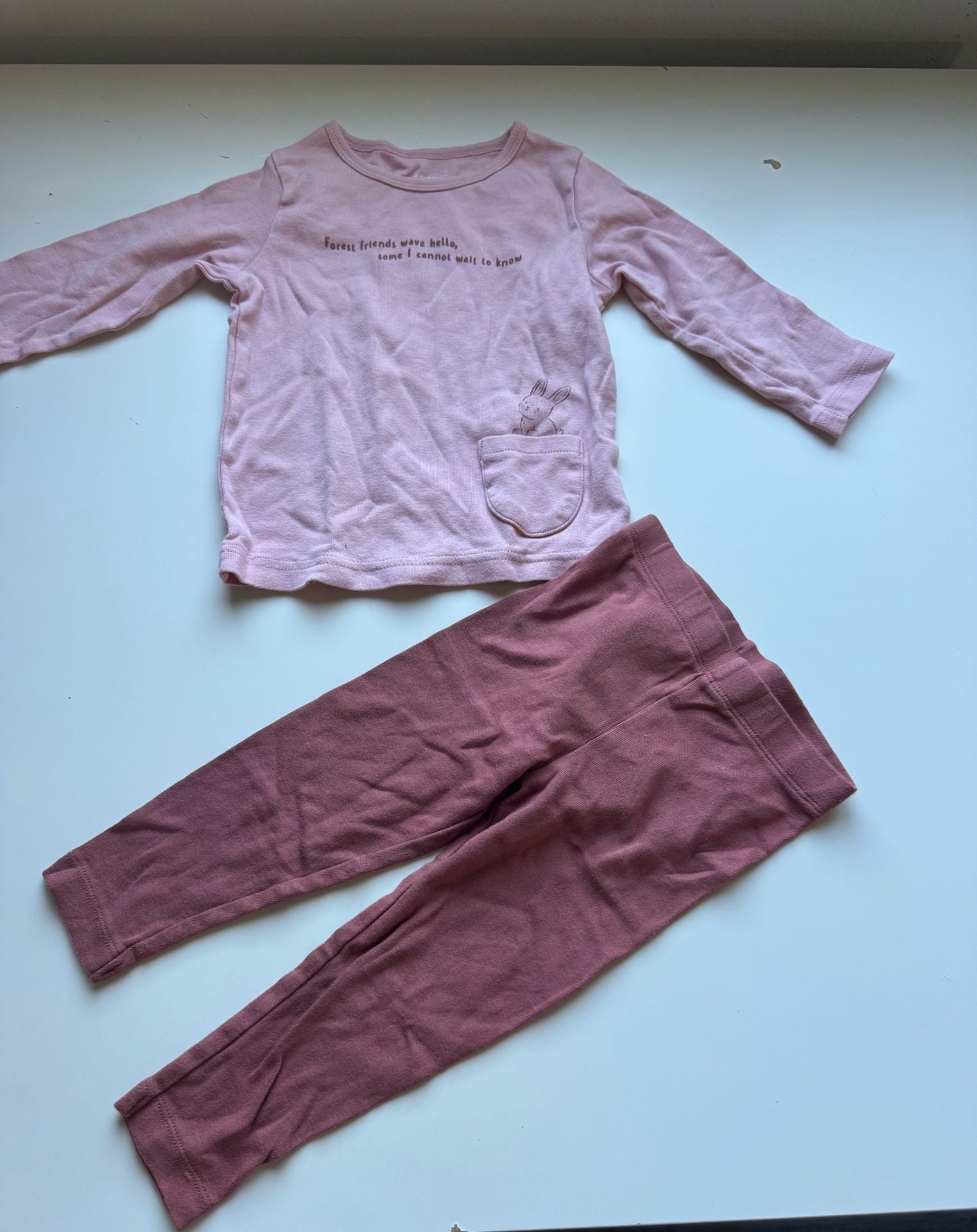 Carters Forest Friends Bunny Long Sleeve Outfit Set Pink 1