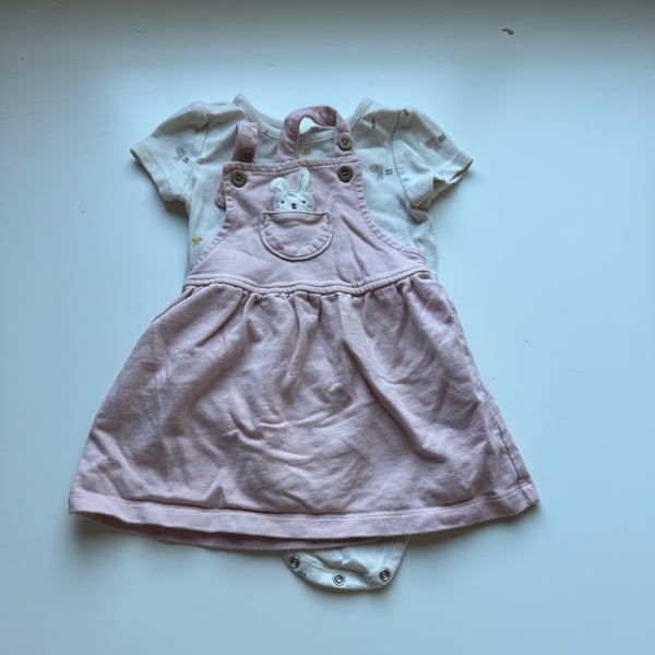 Carters Bunny Bodysuit And Jumper Set Size 18m Pink