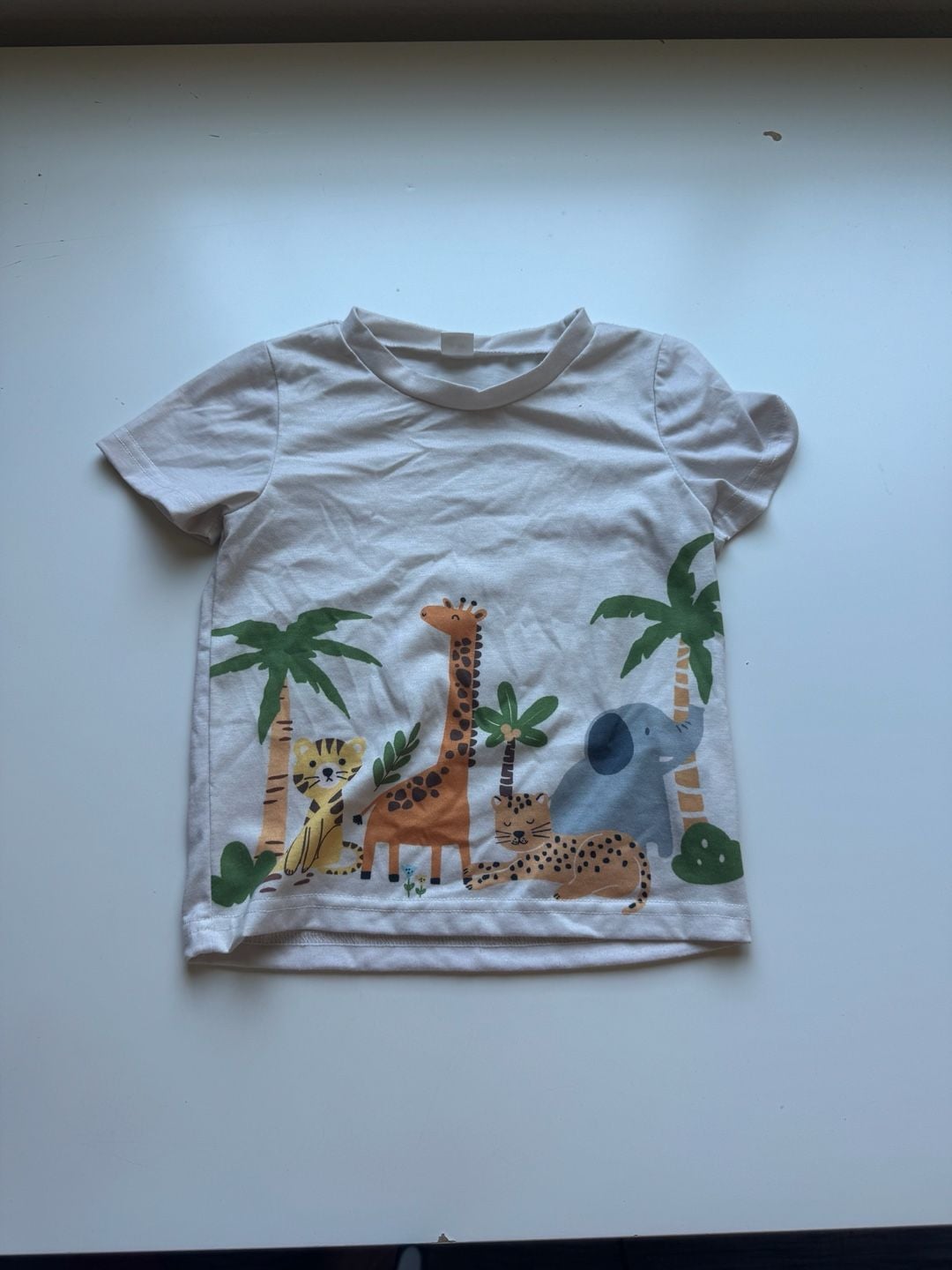 Toddler Boys Graphic Tee Bundle Size 2T 4