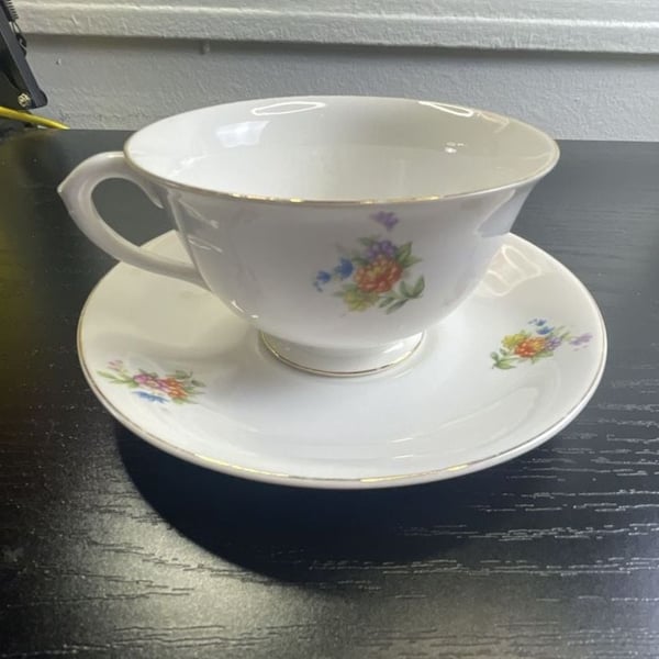Shelton Vintage Floral Teacup And Saucer Set Gold Trim Japan