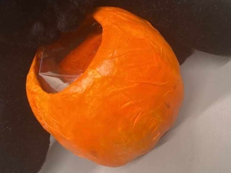 Godiva 13” Black Cat Plush Halloween Witch Hat Paper Mache Pumpkin Candy Bucket 4