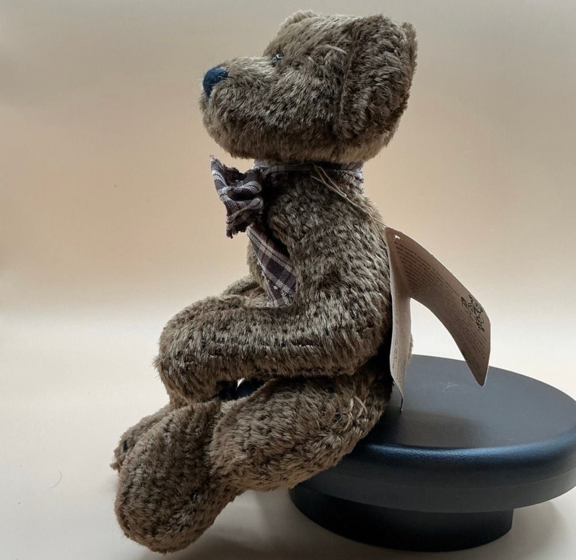 Boyds Bears Scruffy S. Beariluved 9 Inch Plush 2