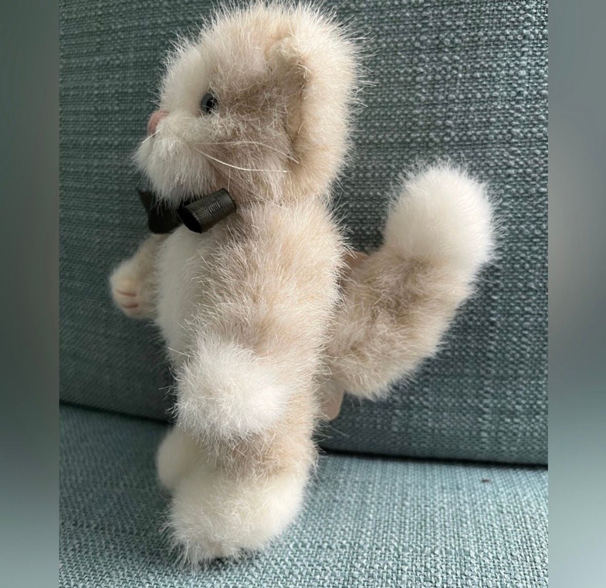 Boyds Bears Dickens Q. Wordsworth 5.5 Plush Cat 2