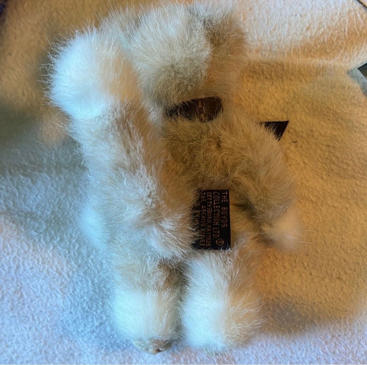 Boyds Bears Dickens Q. Wordsworth 5.5 Plush Cat 5