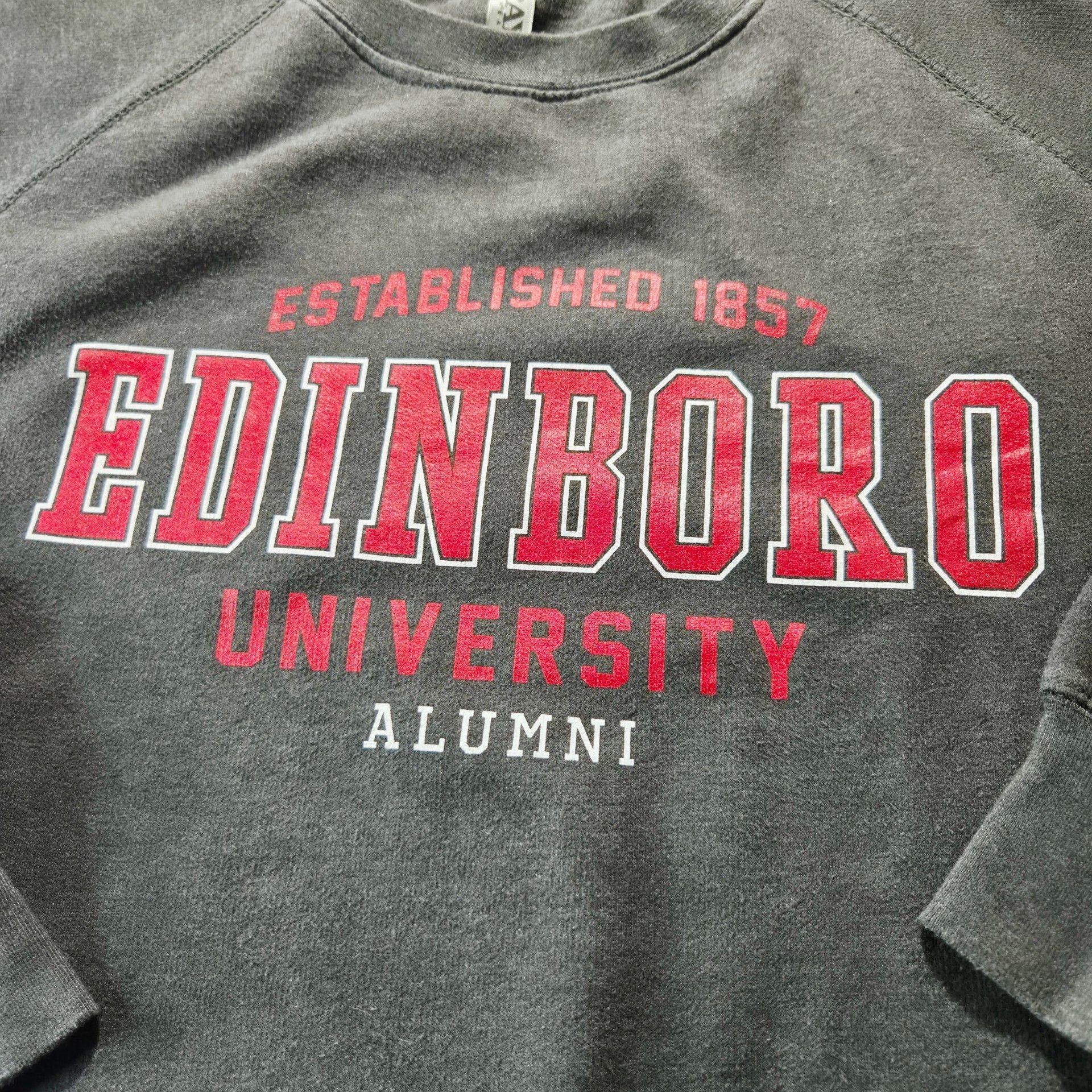 Velva Sheen Edinboro University Alumni Crewneck Sweatshirt Gray 3