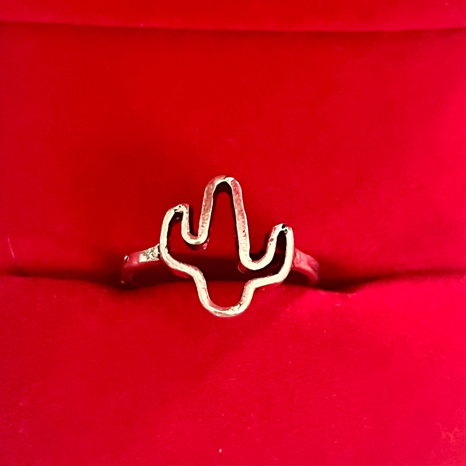 Silver Cactus Ring Titanium Steel Size 6 1