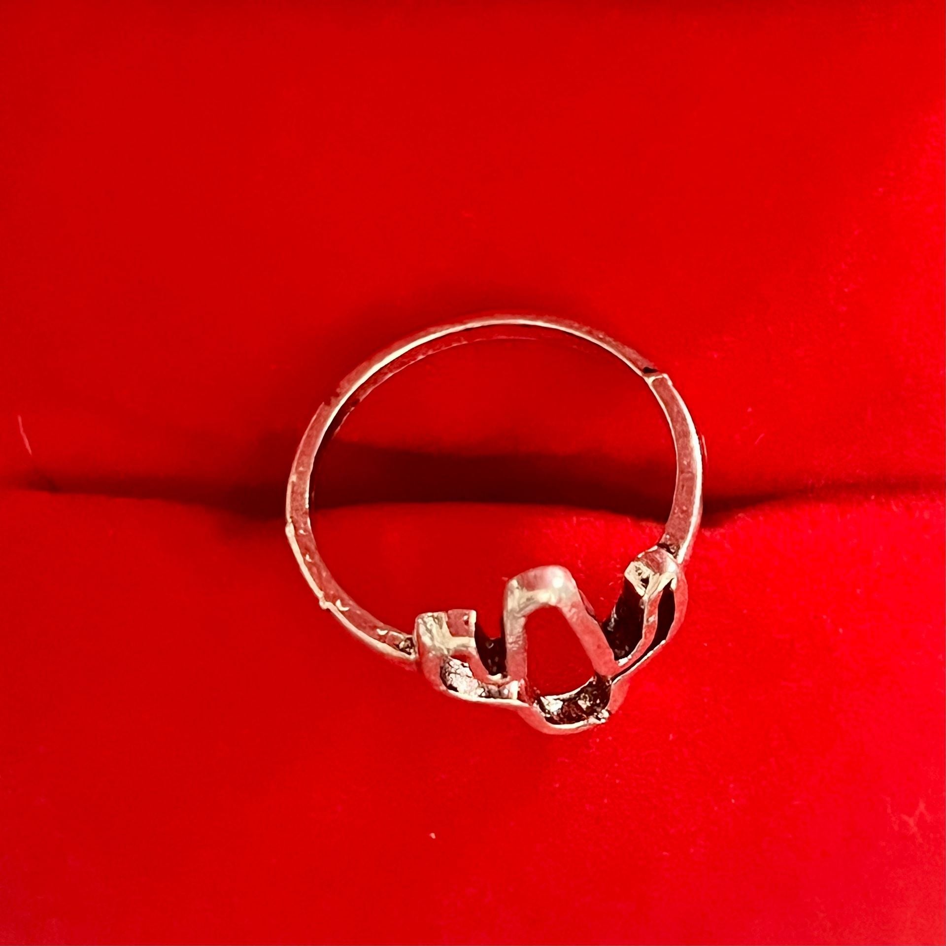 Silver Cactus Ring Titanium Steel Size 6 3