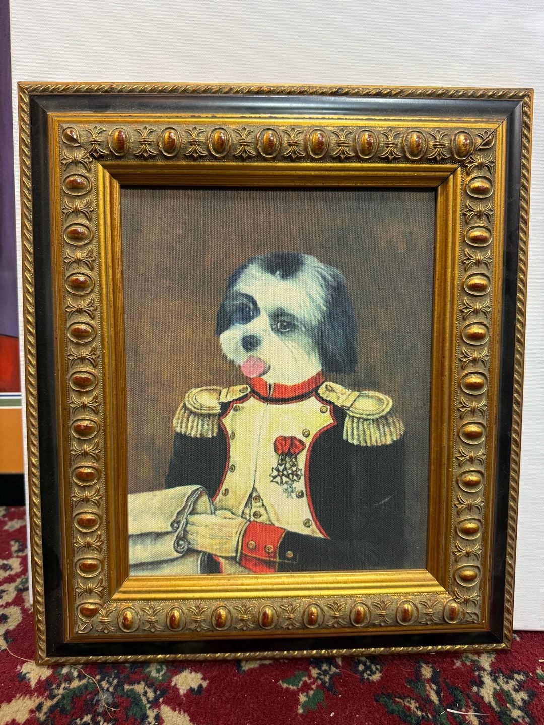 Beautifu black and white l Shih Tzu Military Pet Portrait 1