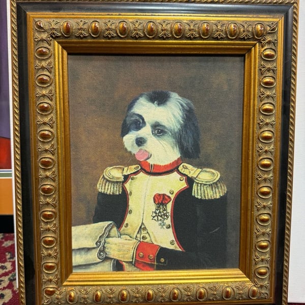 Beautifu black and white l Shih Tzu Military Pet Portrait