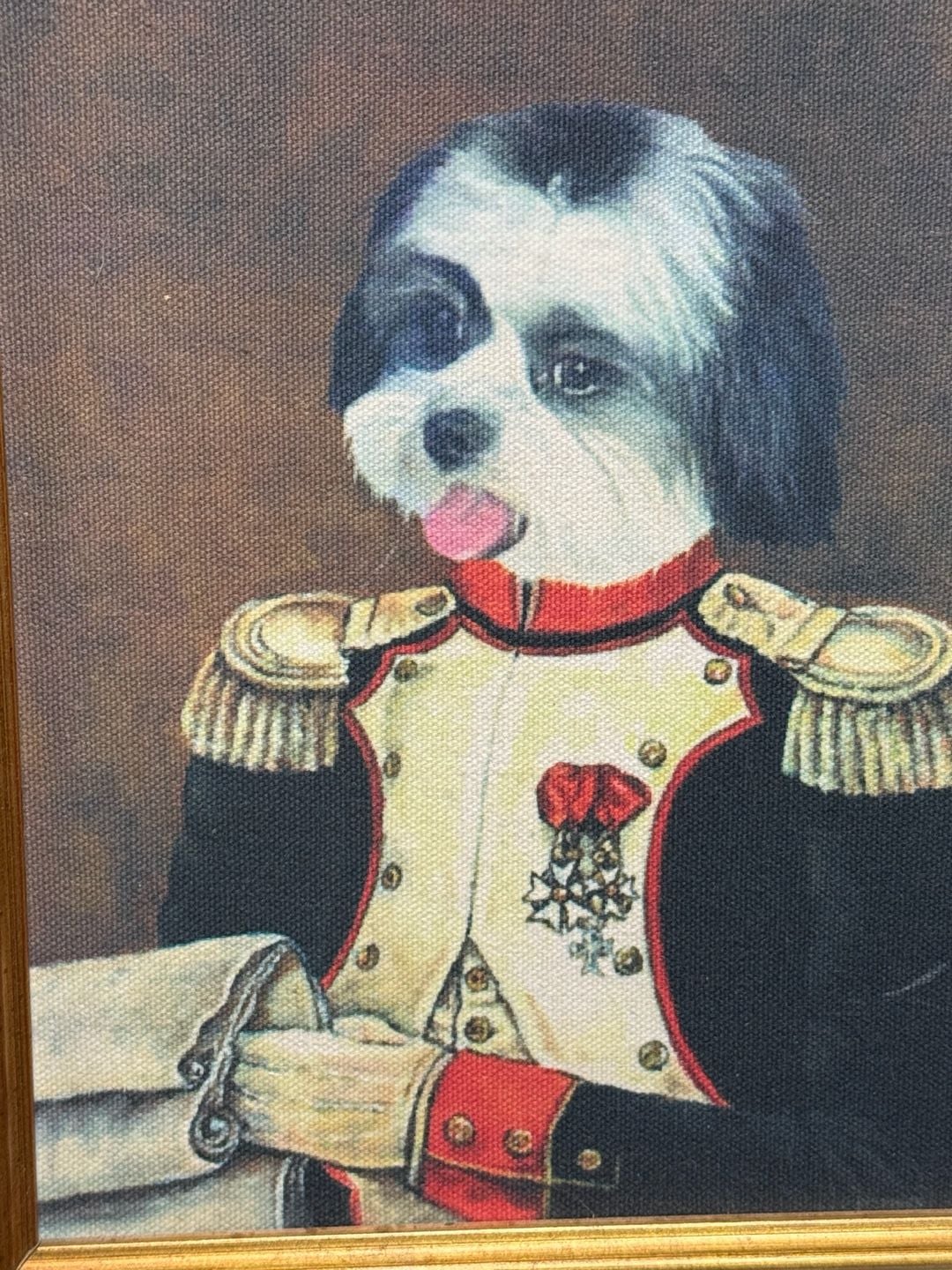 Beautifu black and white l Shih Tzu Military Pet Portrait 2