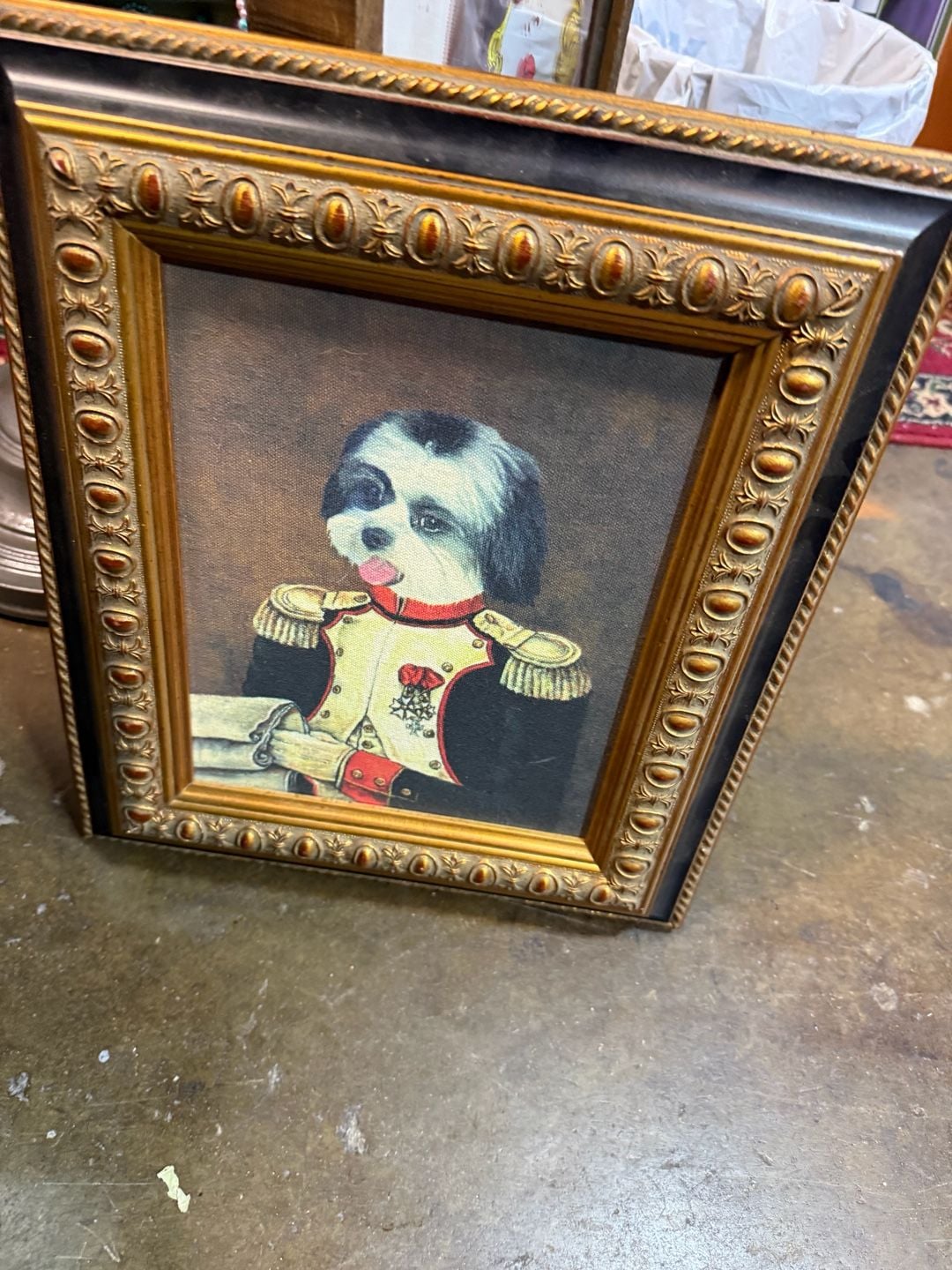 Beautifu black and white l Shih Tzu Military Pet Portrait 5