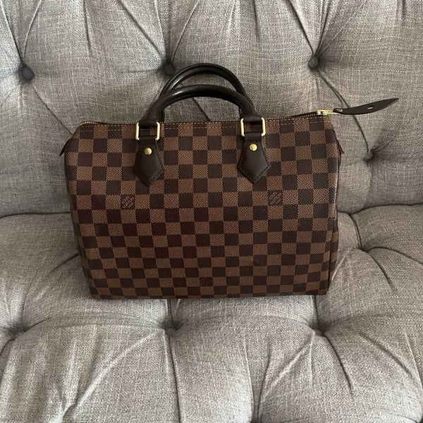 Louis Vuitton Damier Ebene Speedy 30 Handbag Brown