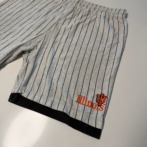 College Ware Illinois Fighting Illini Shorts Size XL Pinstripe