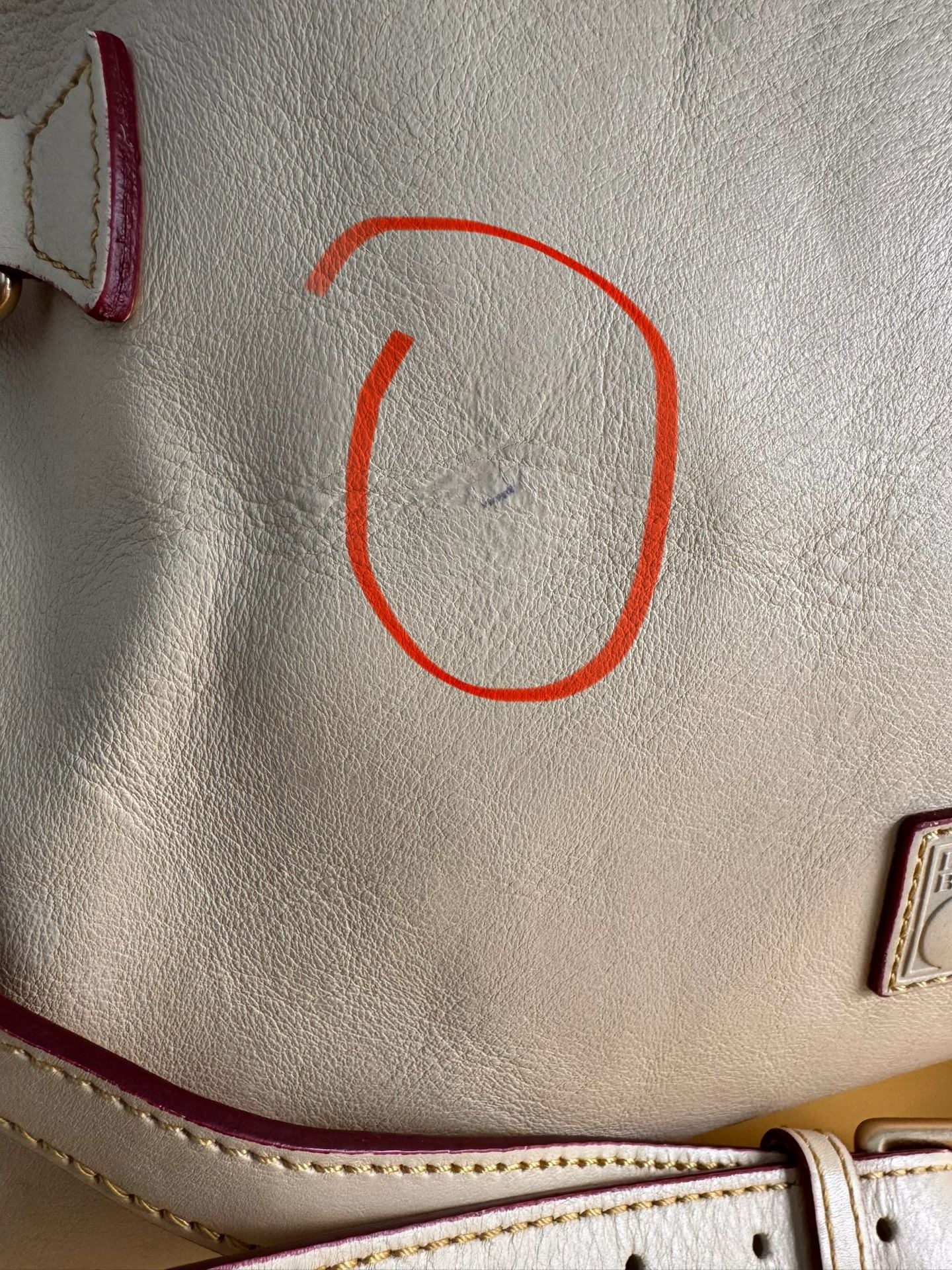 Dooney & Bourke Florentine Teagan 30 Natural Leather Crossbody Bag 8
