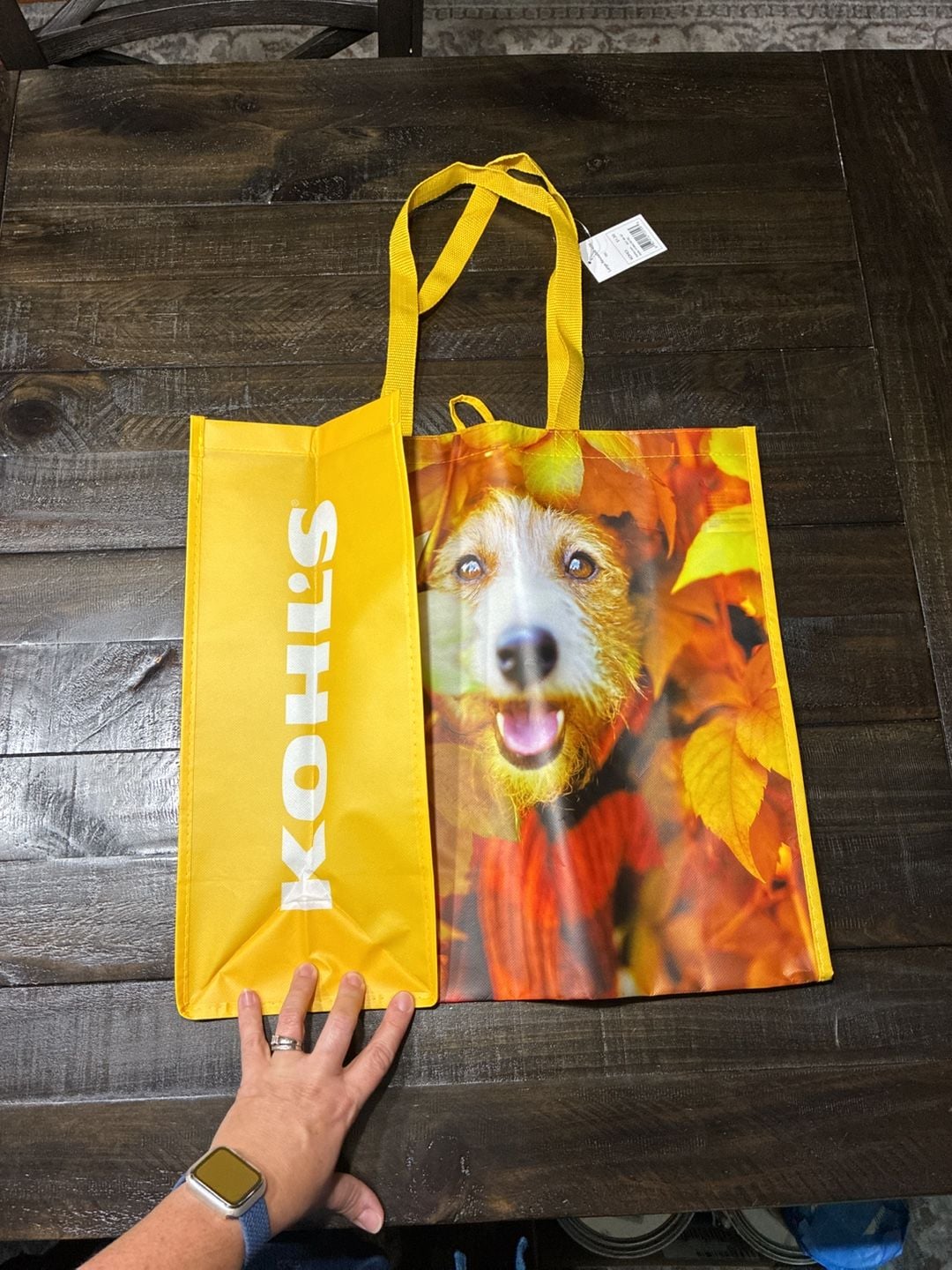 Kohl's Large Reusable Tote Bag Dog Autumn Leaves 3