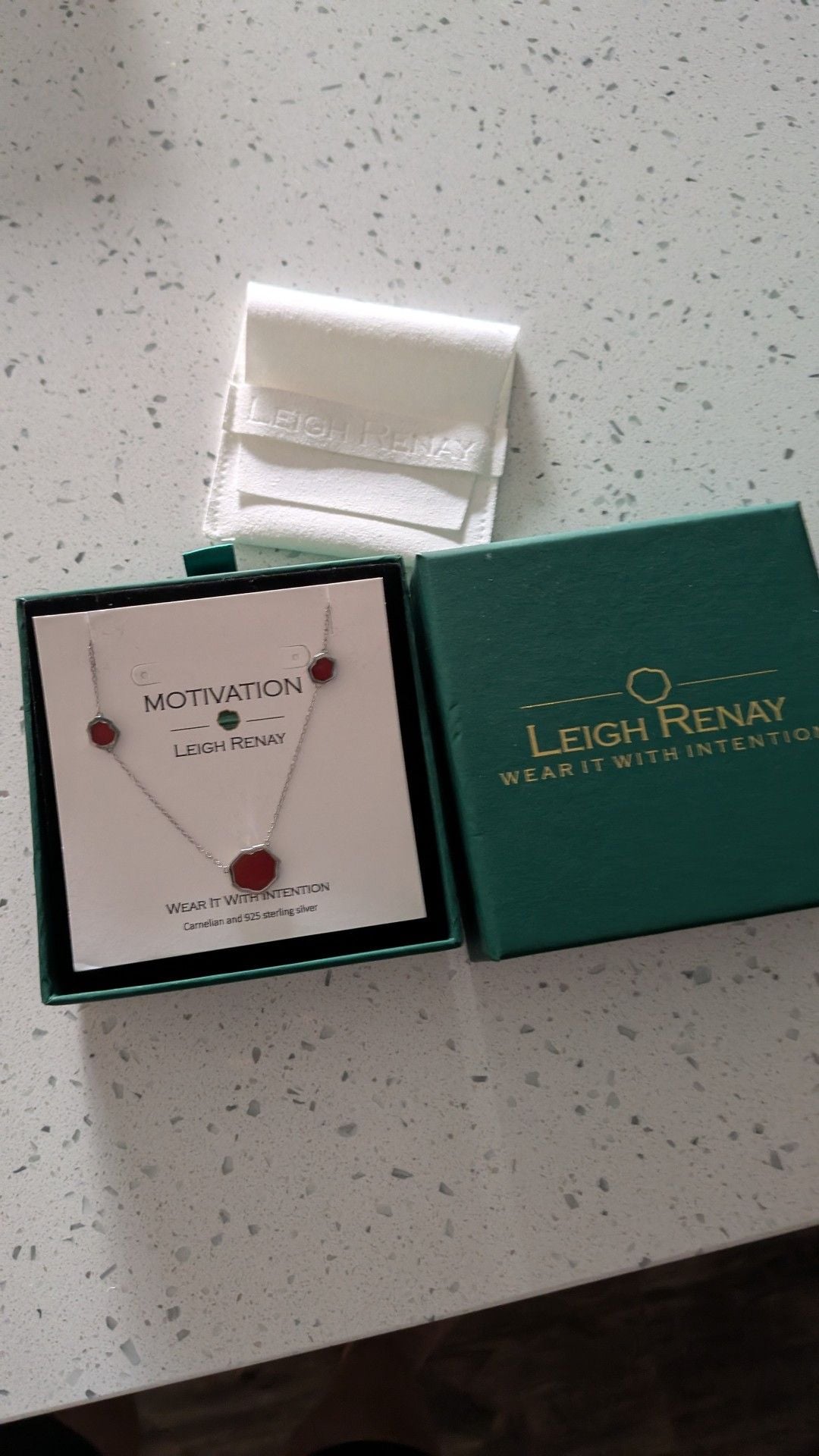 Leigh Renay Motivation Carnelian and 925 Sterling Silver Necklace 1