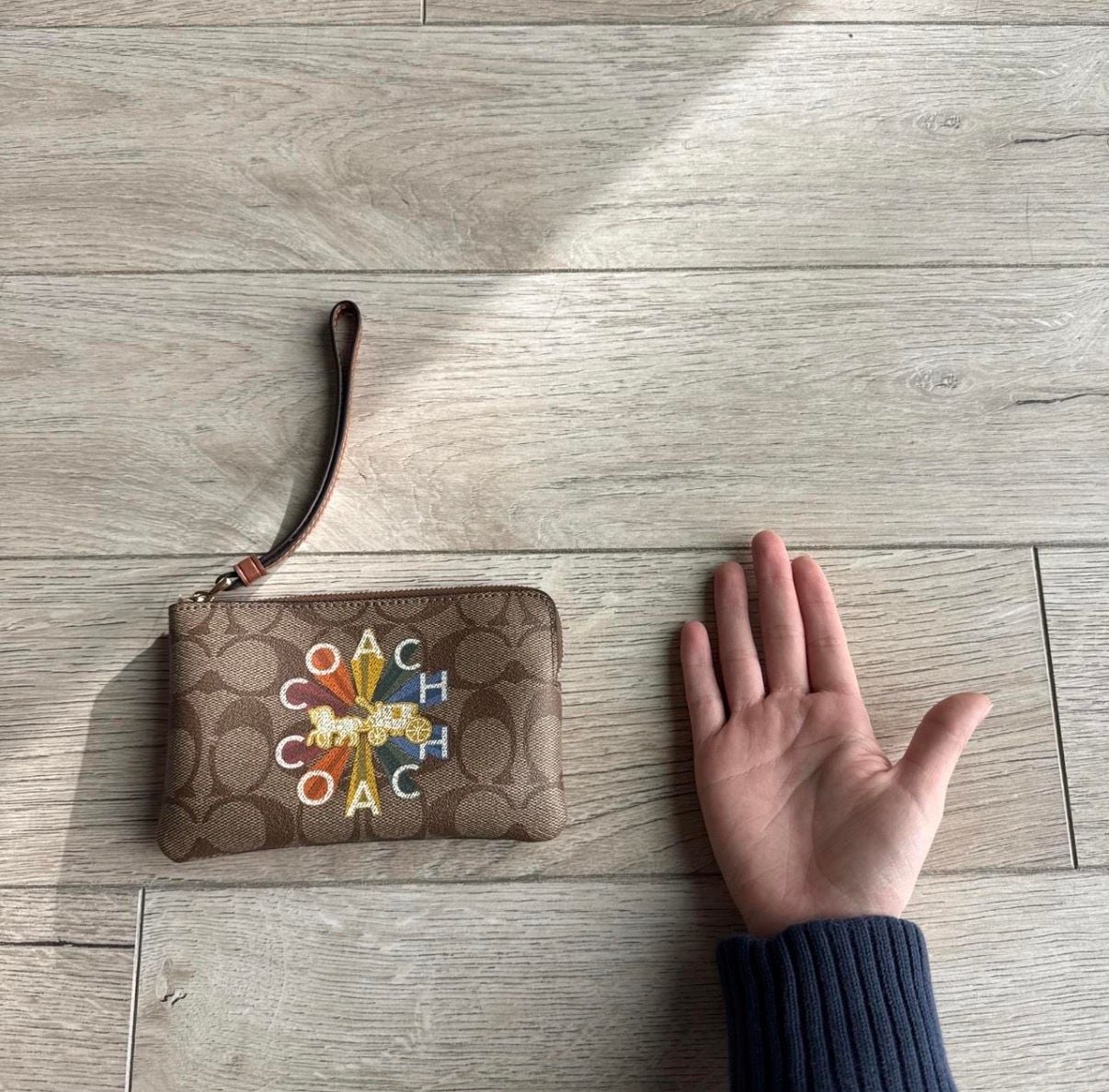 Coach Corner Zip Wristlet Signature Canvas Radial Rainbow C7308 7