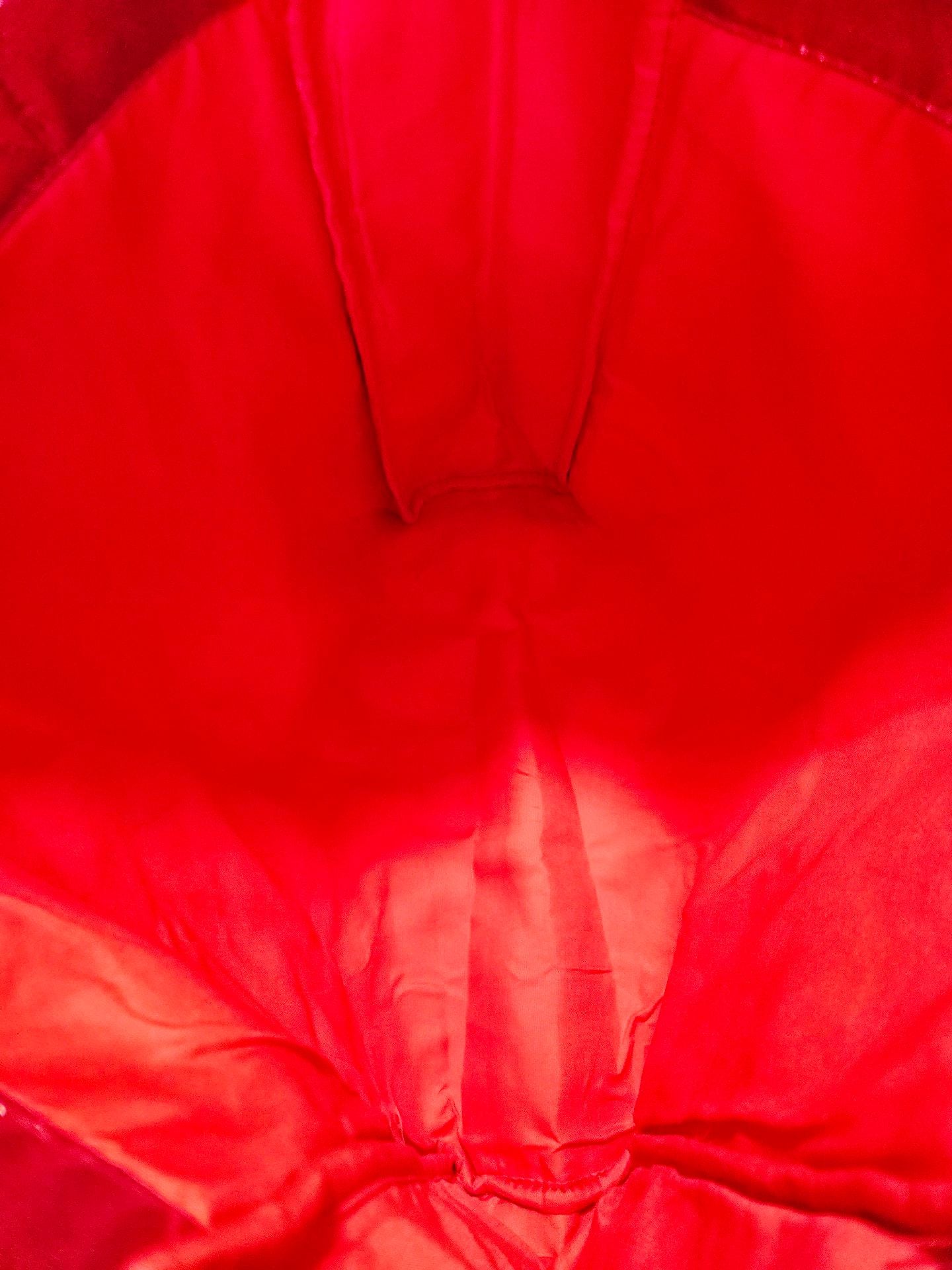 Marc Jacobs Daisy Red Metallic Tote Shopping Bag 4