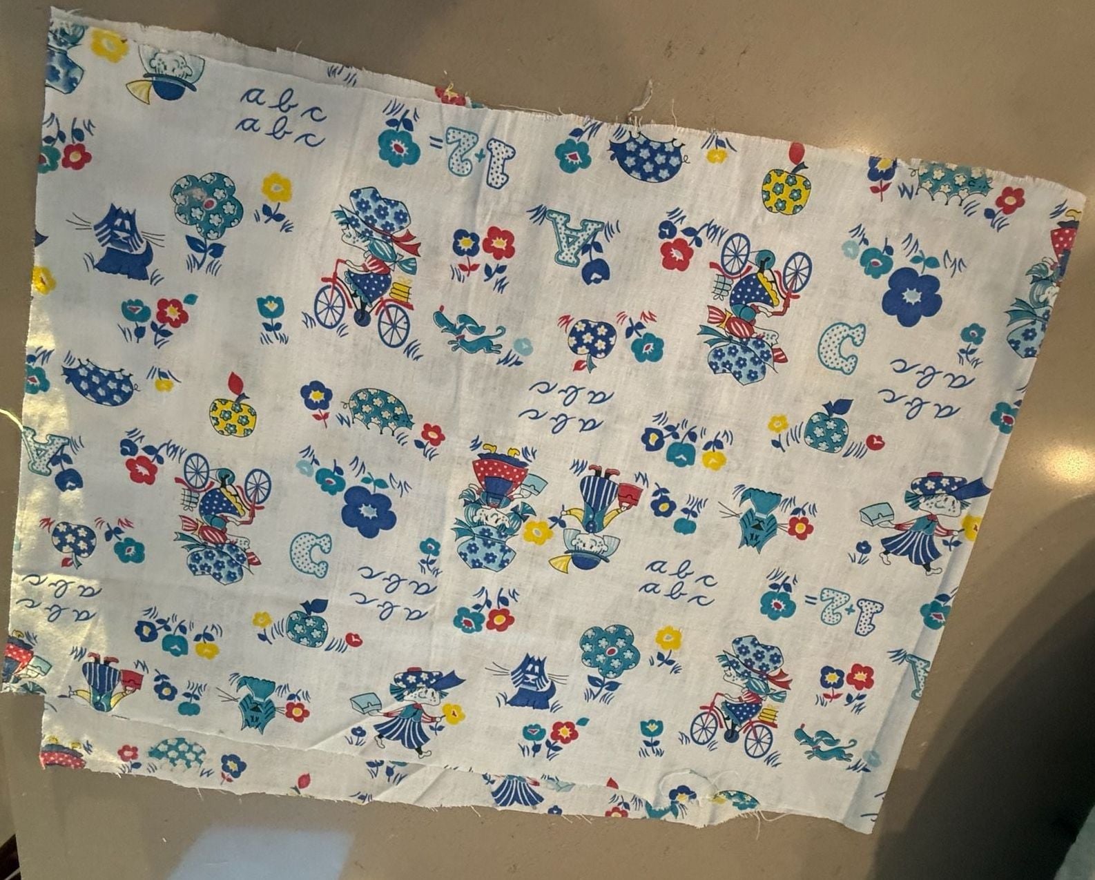Vintage 1970s Holly Hobbie Style Cotton Fabric Remnant 2