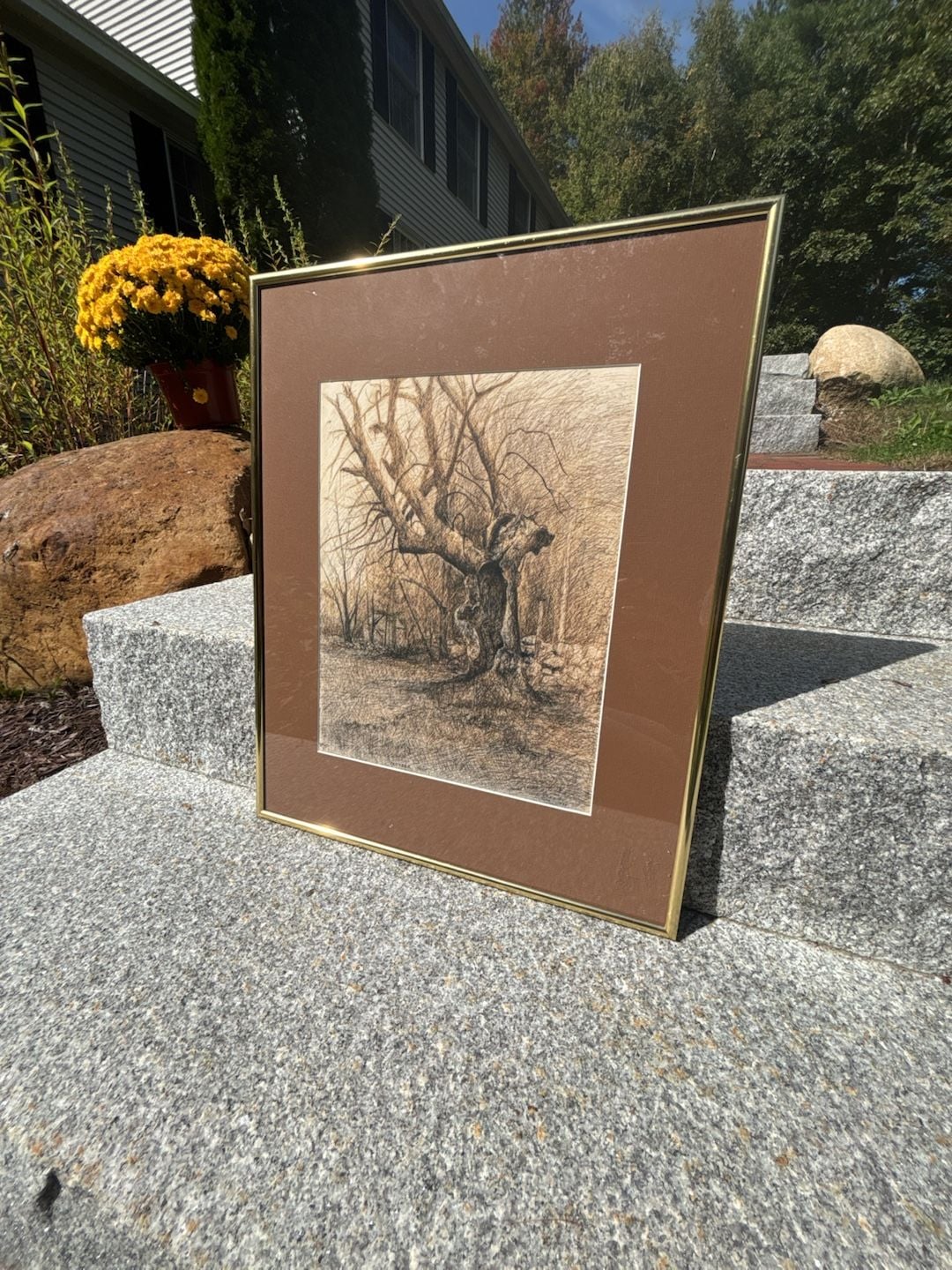 October Mist Framed Print 8