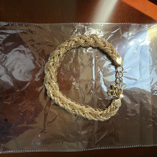 Express Gold Tone Braided Mesh Choker Necklace