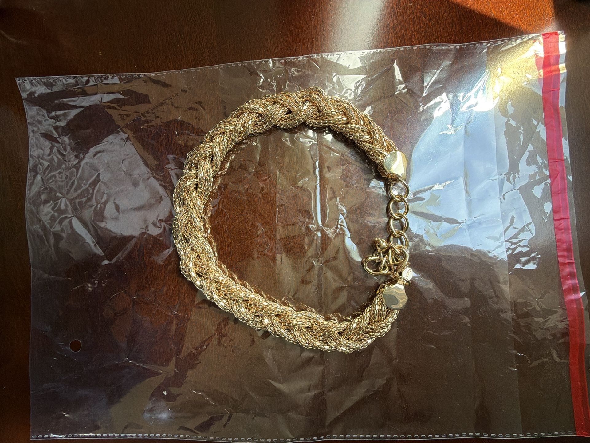 Express Gold Tone Braided Mesh Choker Necklace 3