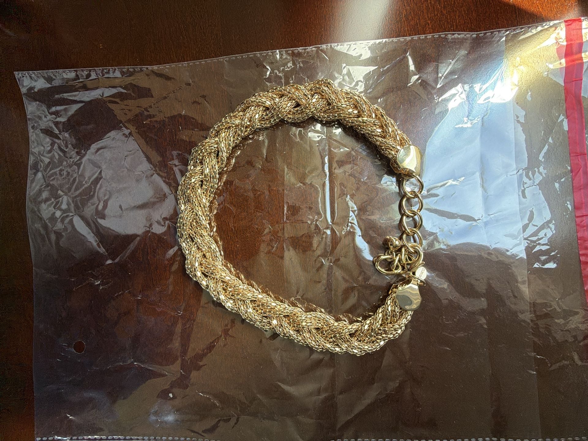 Express Gold Tone Braided Mesh Choker Necklace 4