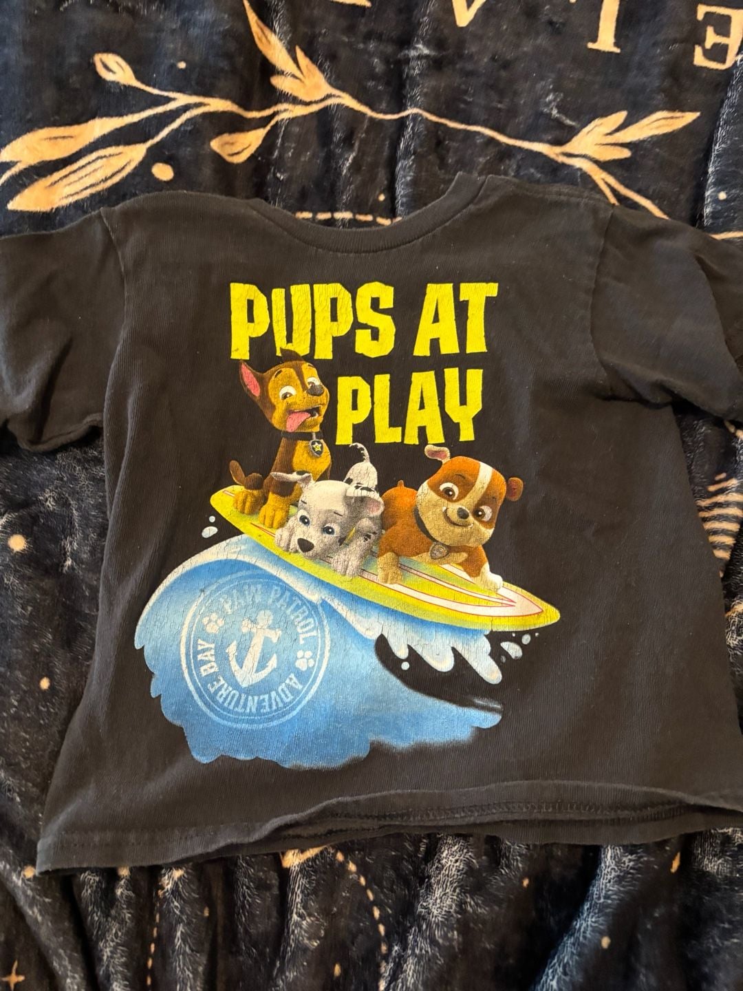 Paw Patrol Pups At Play Graphic T-Shirt Size 3T Black 2