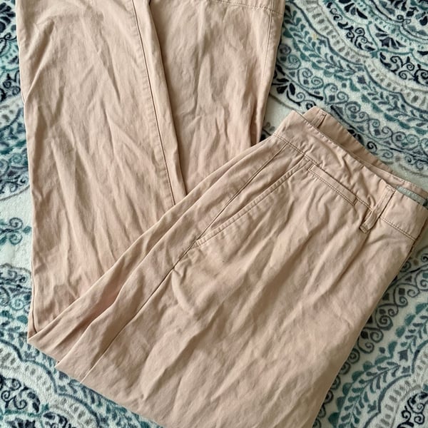 Goodfellow & Co Hennepin Chino Size 33x30 Slim Pink
