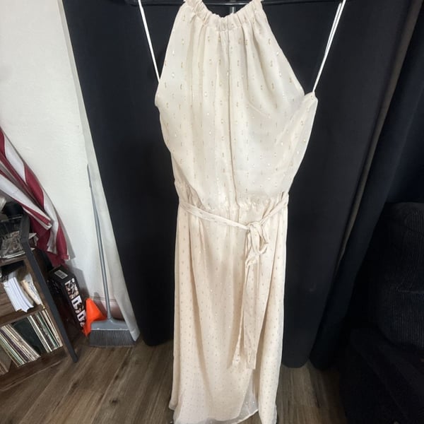 ModCloth Illuminated Elegance Chiffon Maxi Dress Size L Ivory Metallic