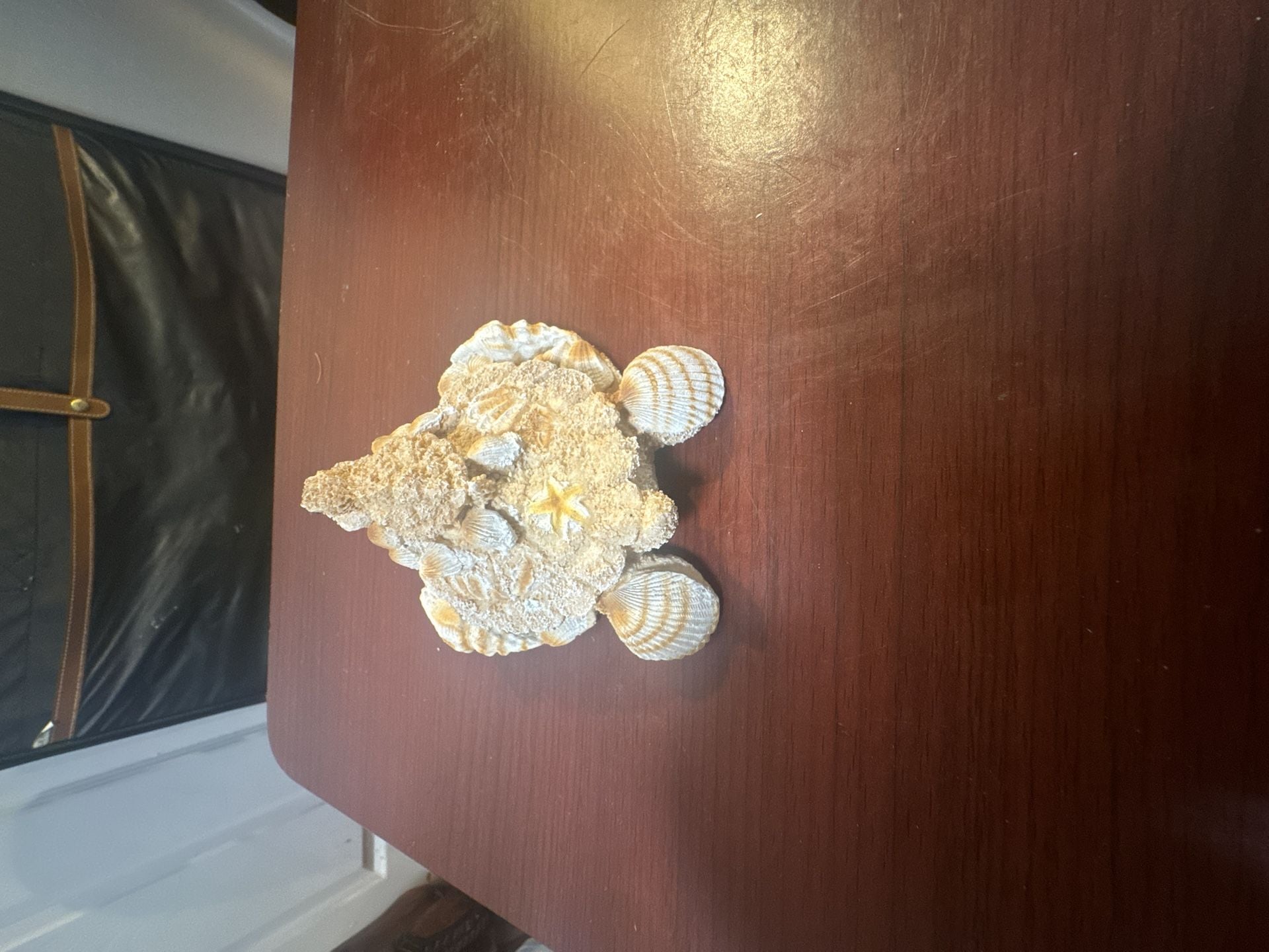 Coastal Decor Sand and Shell Turtle Figurine 3