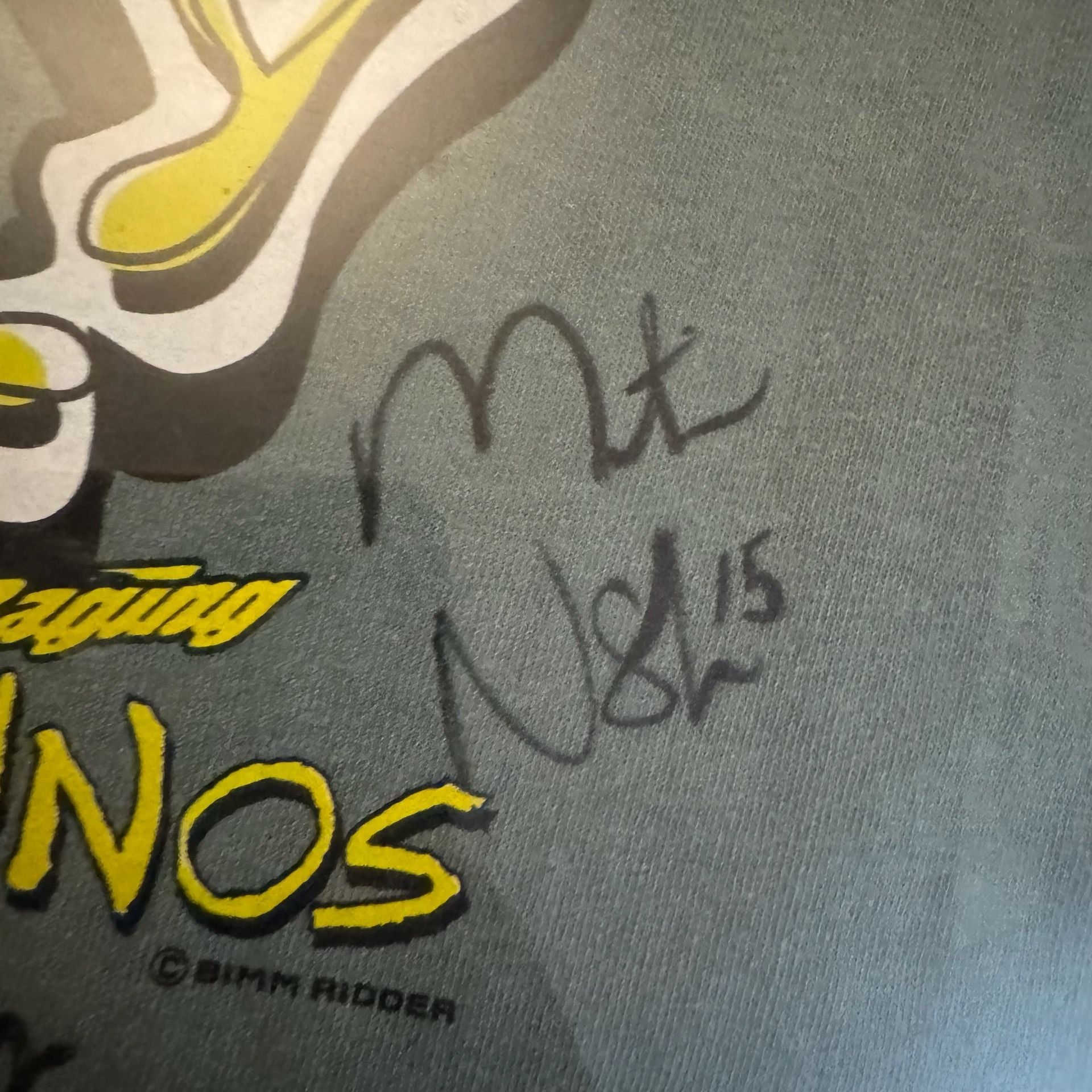 Vintage Rochester Raging Rhinos Soccer Crazy Autographed T-Shirt Framed 9