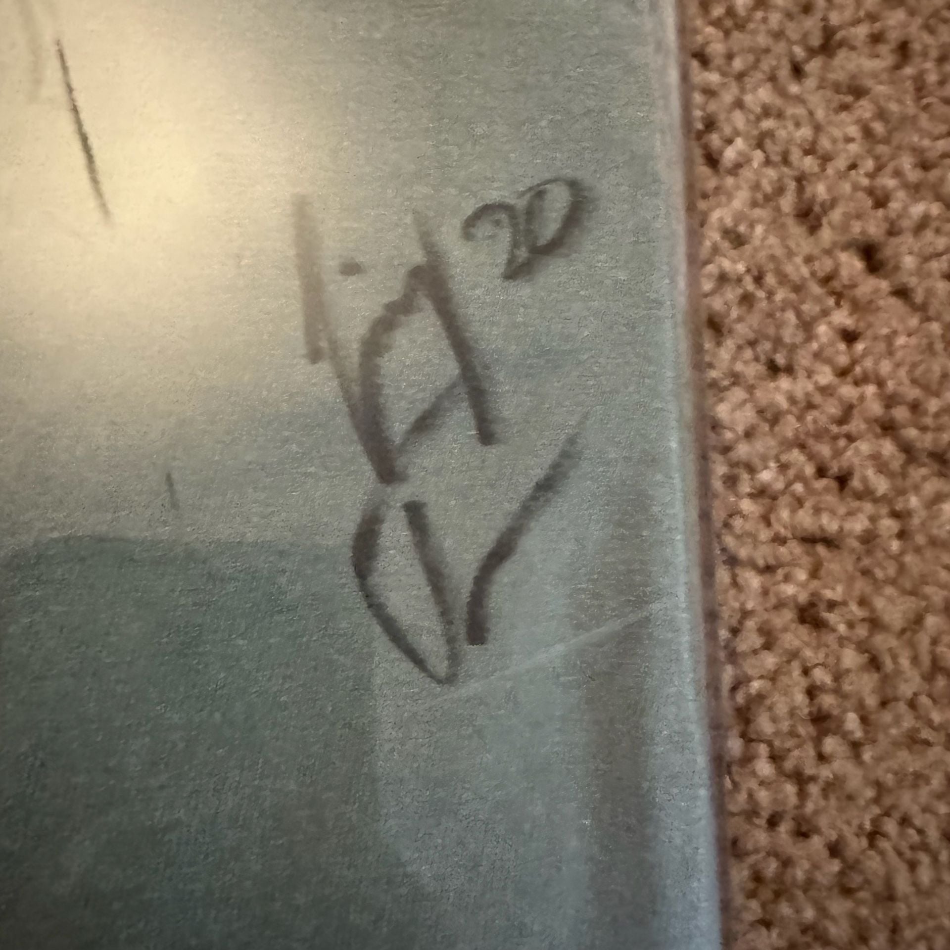 Vintage Rochester Raging Rhinos Soccer Crazy Autographed T-Shirt Framed 10