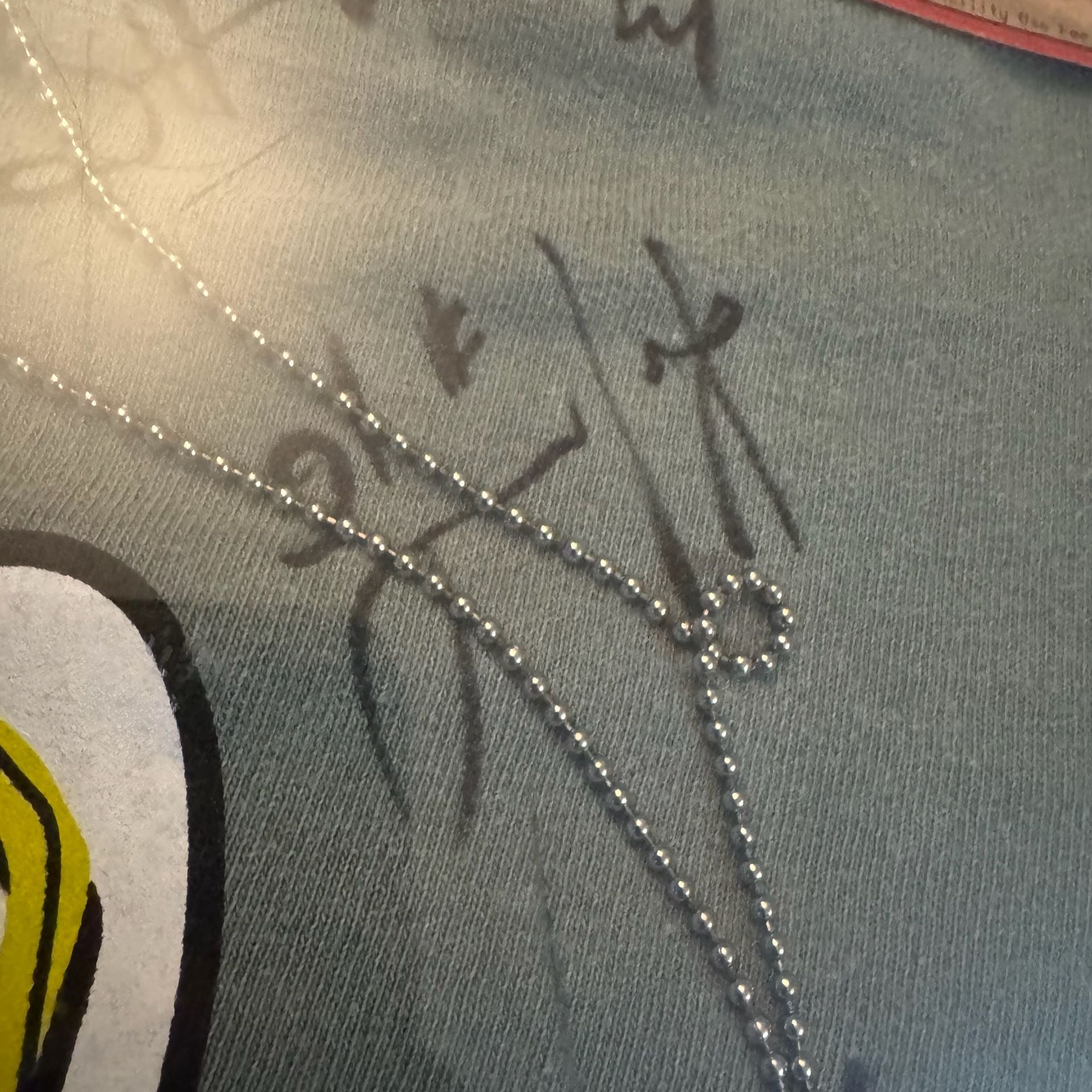 Vintage Rochester Raging Rhinos Soccer Crazy Autographed T-Shirt Framed 11