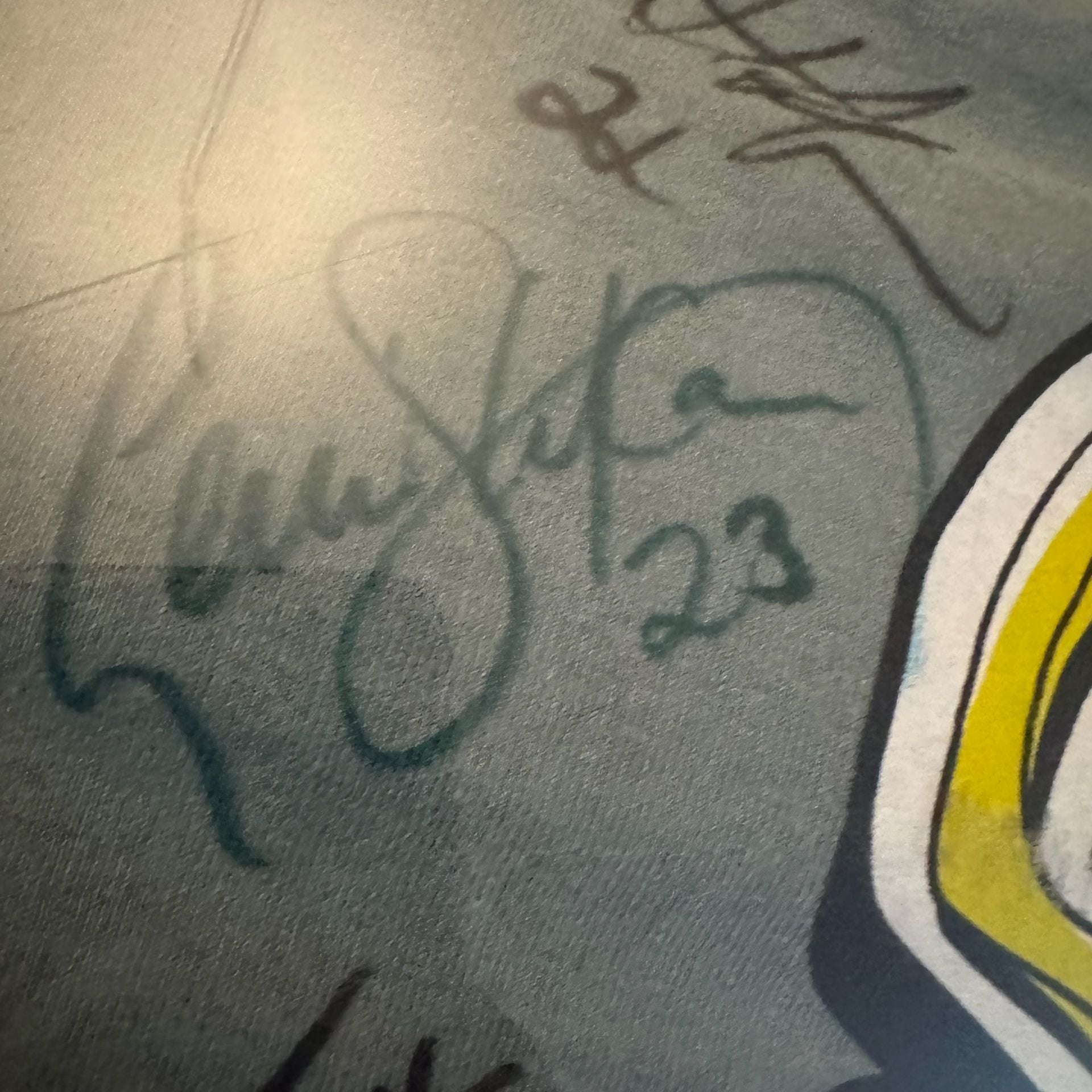 Vintage Rochester Raging Rhinos Soccer Crazy Autographed T-Shirt Framed 15