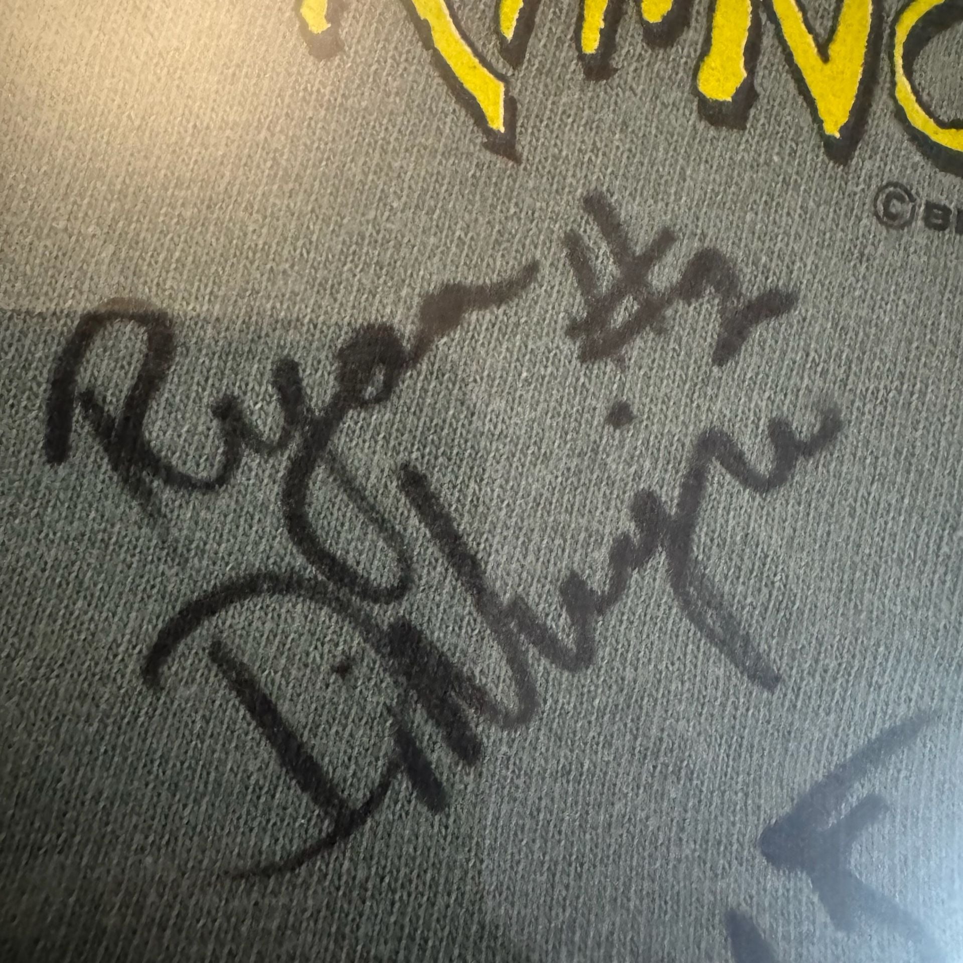 Vintage Rochester Raging Rhinos Soccer Crazy Autographed T-Shirt Framed 20