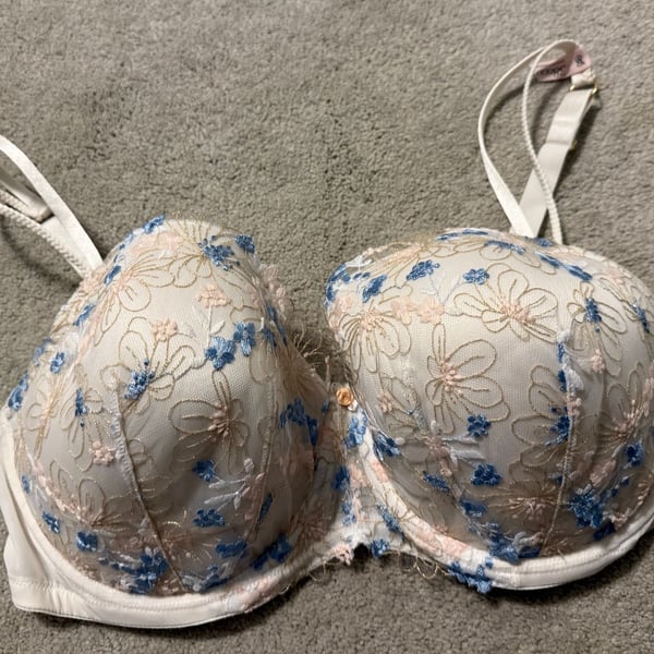 Victoria's Secret Dream Angels Wildflower Embroidery Bra Size 38DDD White