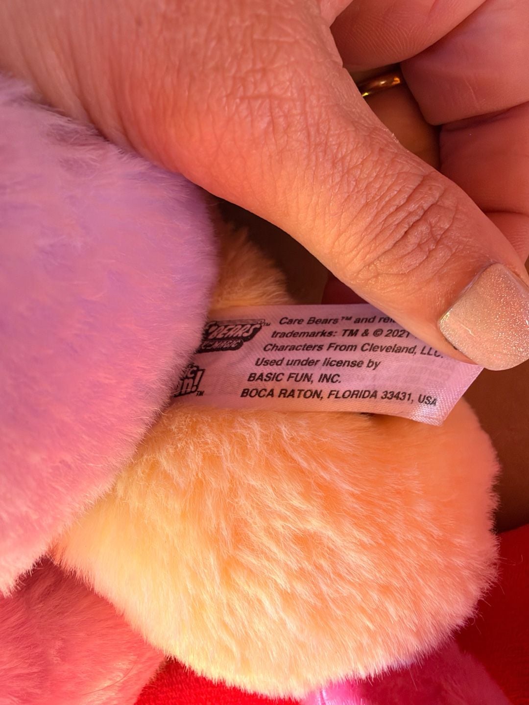 Care Bear Care Bears 3