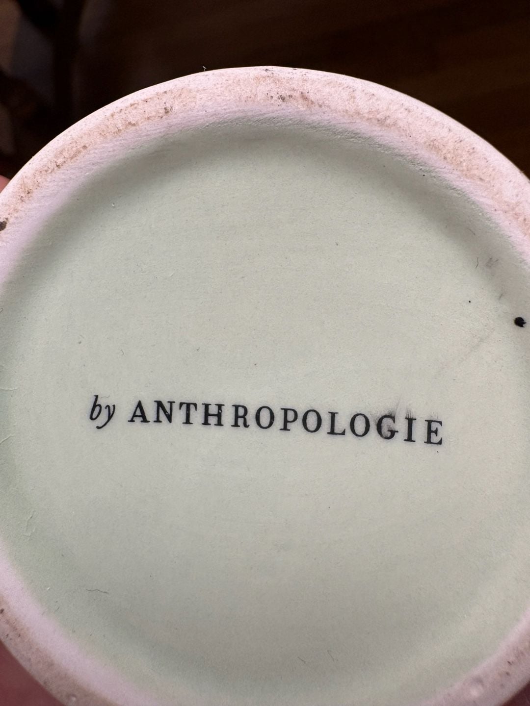 Anthropologie Faye Frazee Mug Mint Green Cherry Dragonfly Fruit 5