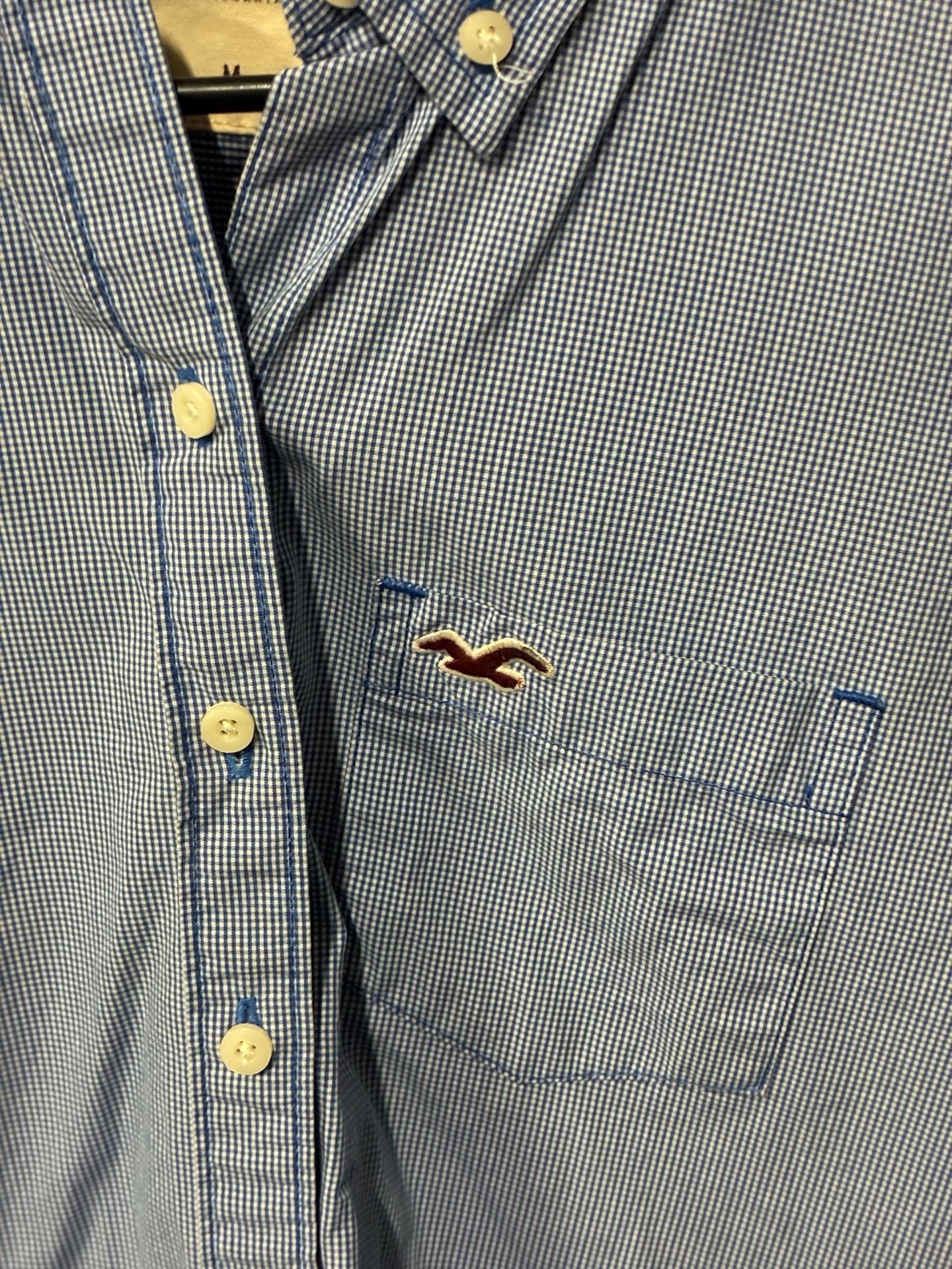 Hollister 3