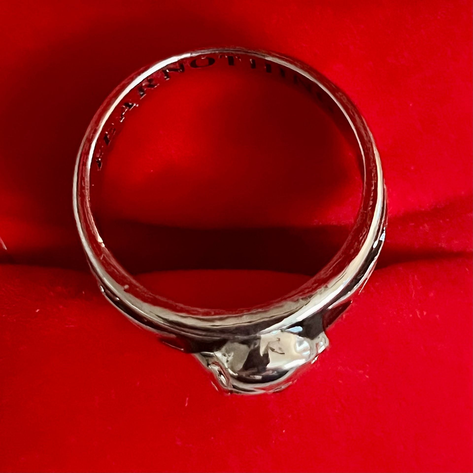 Fear Nothing Skull Ring Silver And Black Biker Goth Titanium Steel Silver Sz 12 8