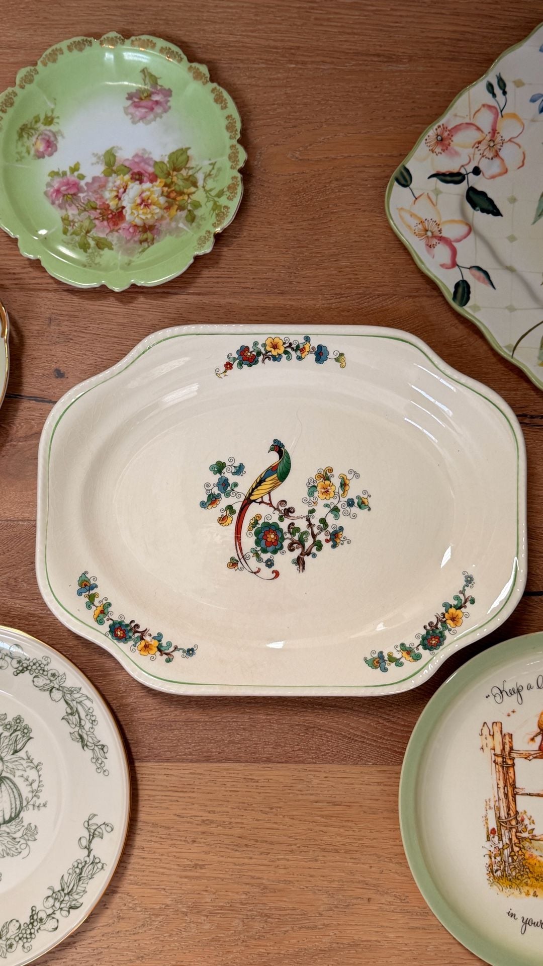 Green plate wall! curated collection of 6 large vintage plates in green theme 2