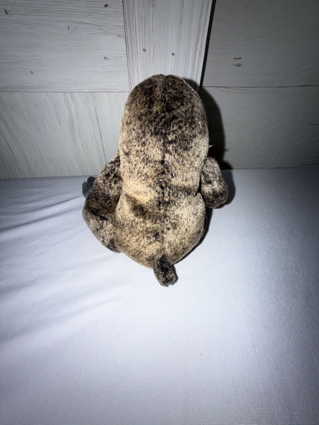 Ty Beanie Baby Slowpoke the Sloth Plush Toy Retired 3