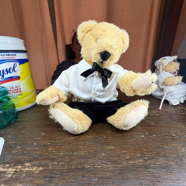 North American Bear Co Fuzzy Vanderbear Boy Plush Velvet Pants