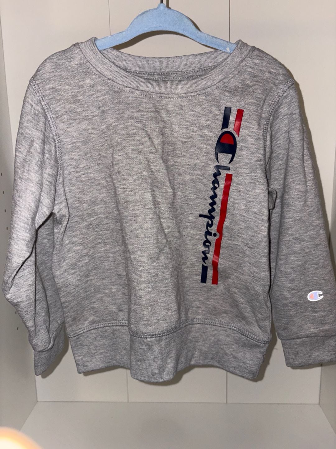 Champion Sweatshirt Size 4T Gray Vertical Logo Crewneck 2