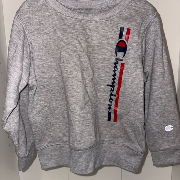 Champion Sweatshirt Size 4T Gray Vertical Logo Crewneck