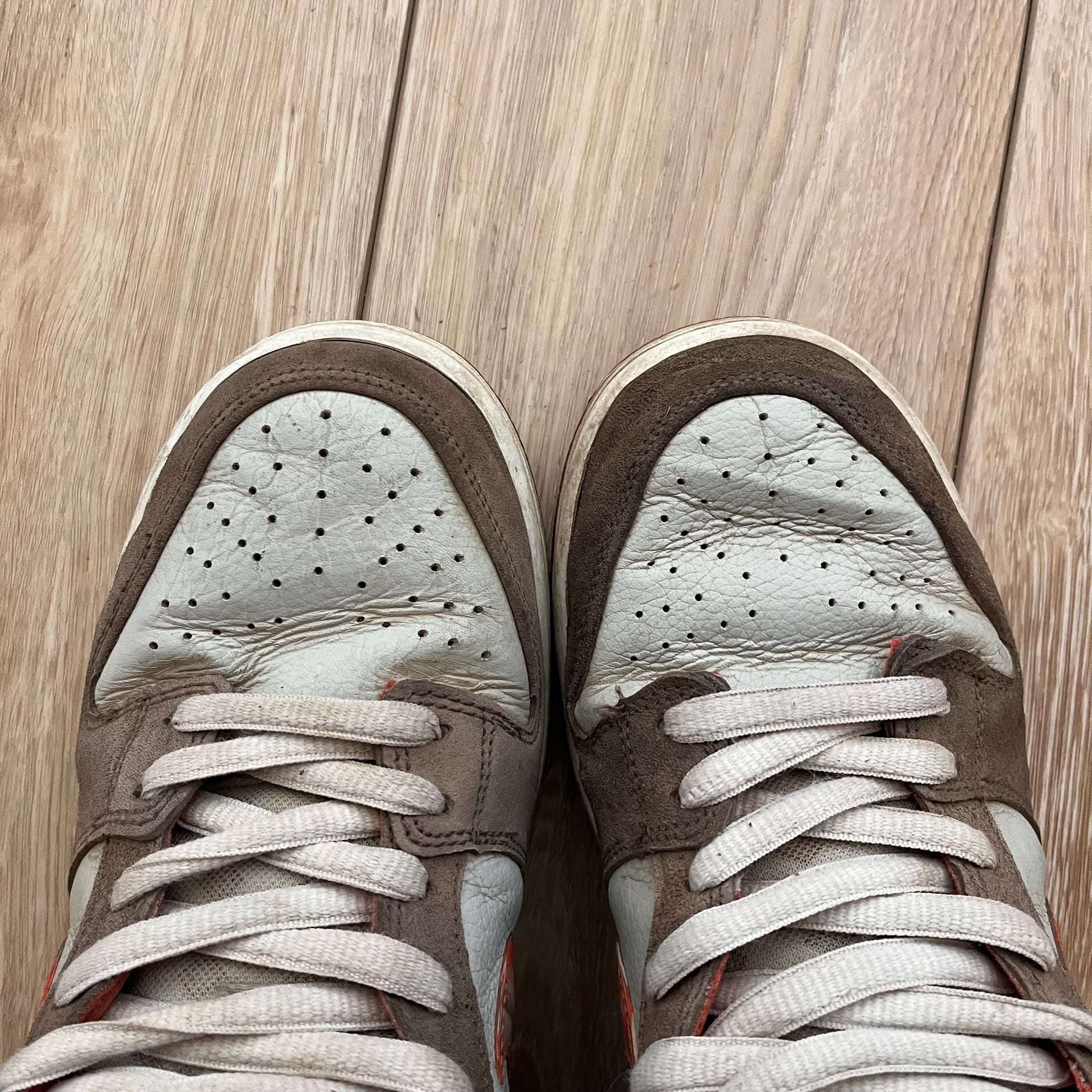 Nike SB Dunk Low Crushed D.C. Golden Hour 9