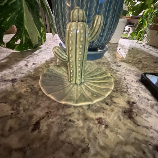 Cactus Jewelry Trinket Tray Ceramic Ring Holder Dish